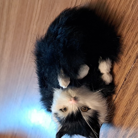 Cat Realistic Looking Cat Poshmark